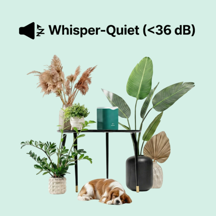 PyNori Air Humidifier